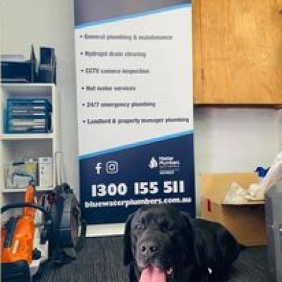 Blue Water Leak Detection Team 14